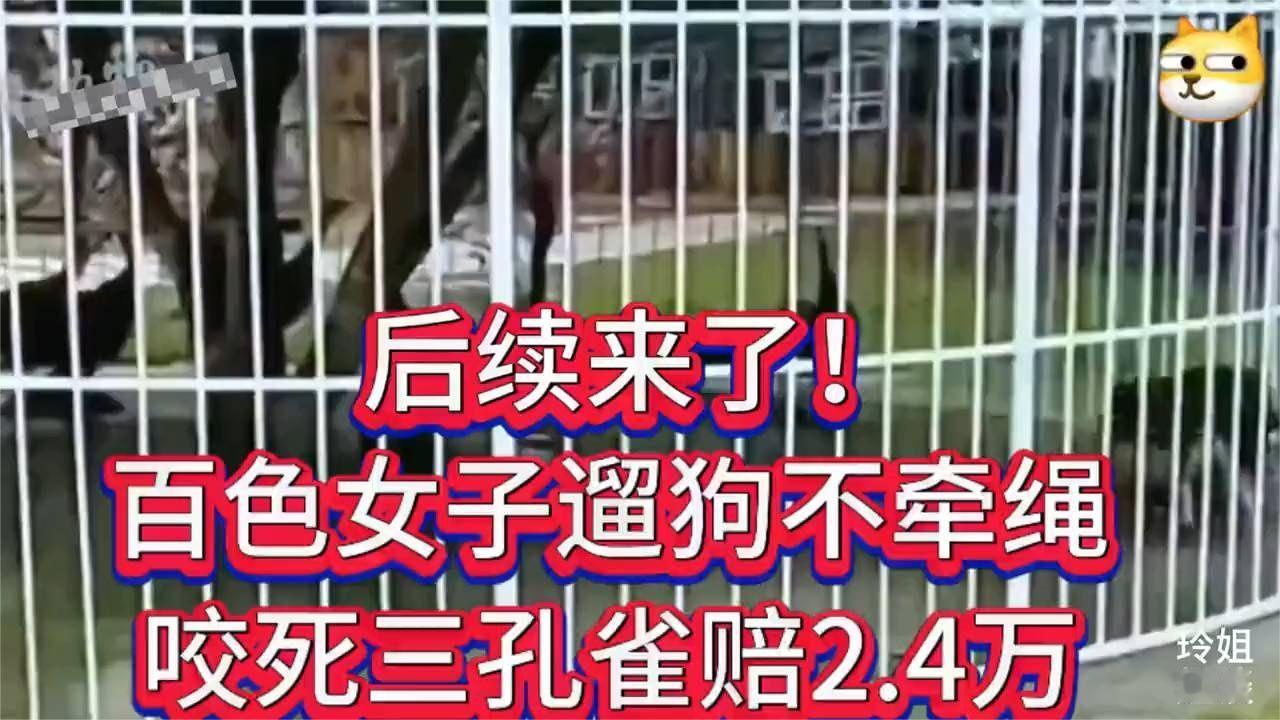 后续来了，百色女子遛狗不牵绳钻进笼子，咬死三只孔雀赔2.4万