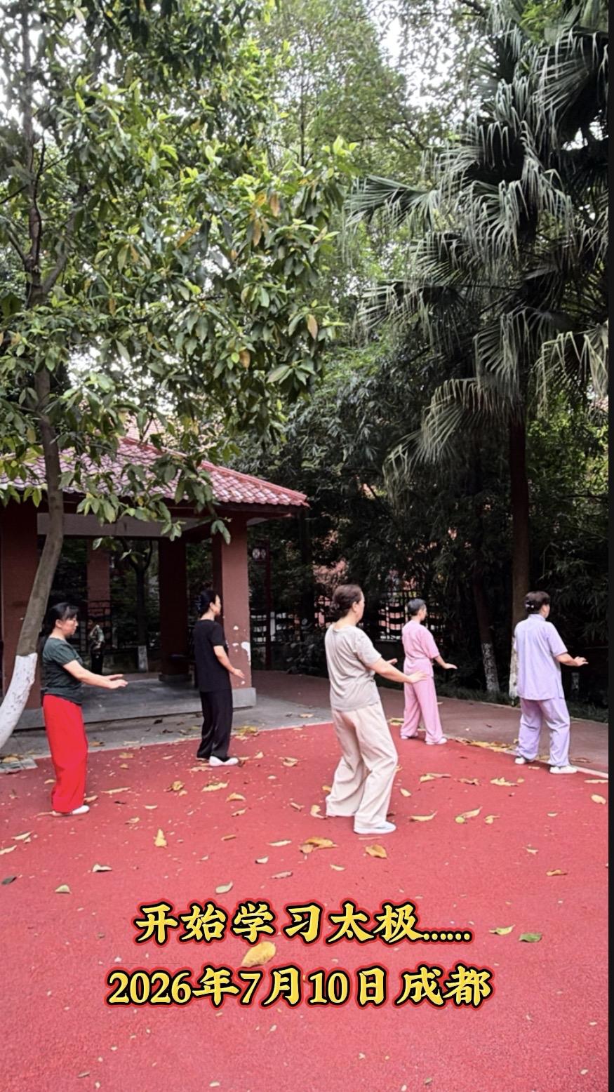 开启“太极百日学习计划”
很早以来就想学习太极拳，一直没有找到机会。现在机会来到