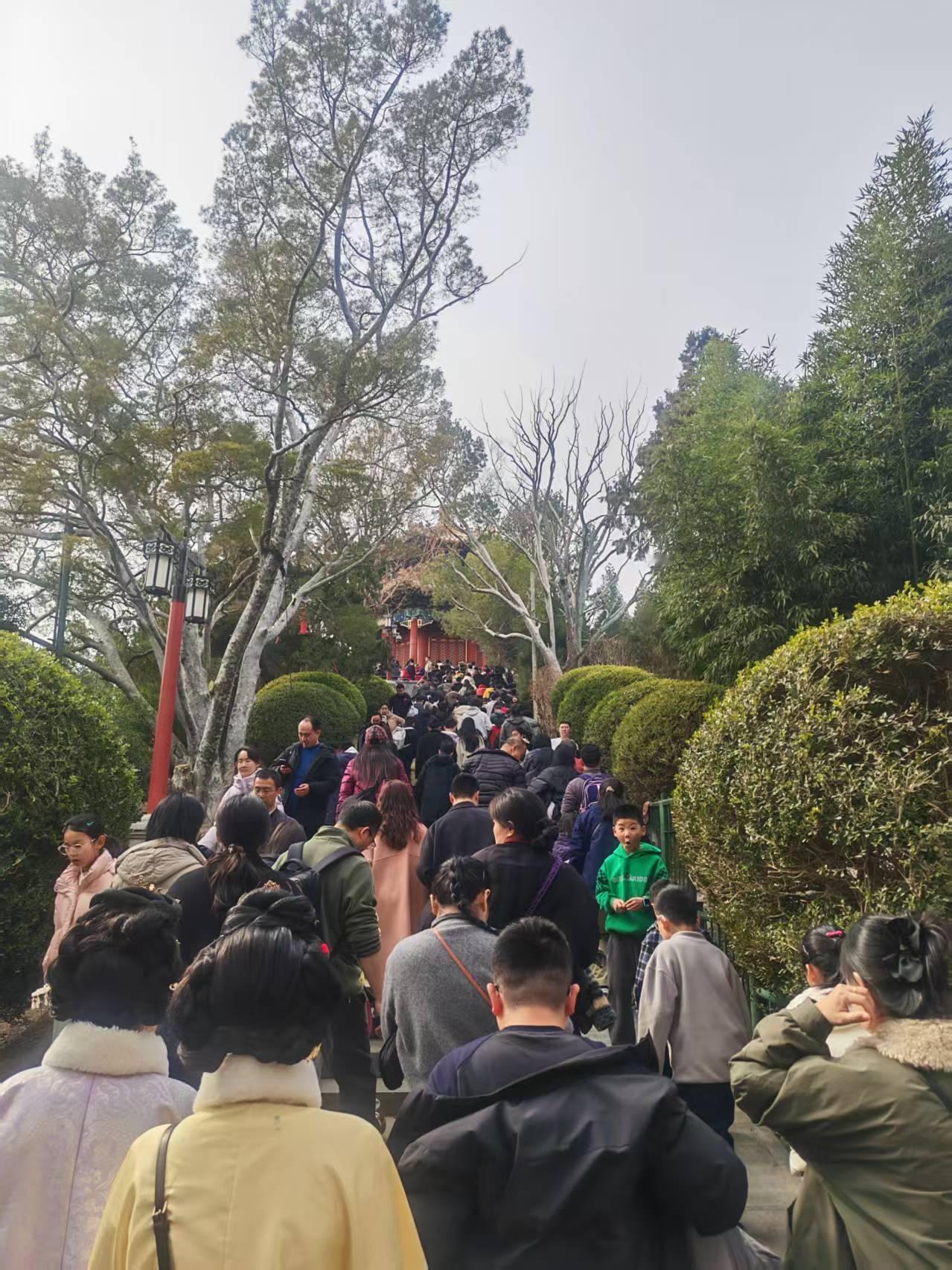 北京每年过年🧨主要景点都人满为患，这是今天的景山公园，有没有一种特种兵攻打景山