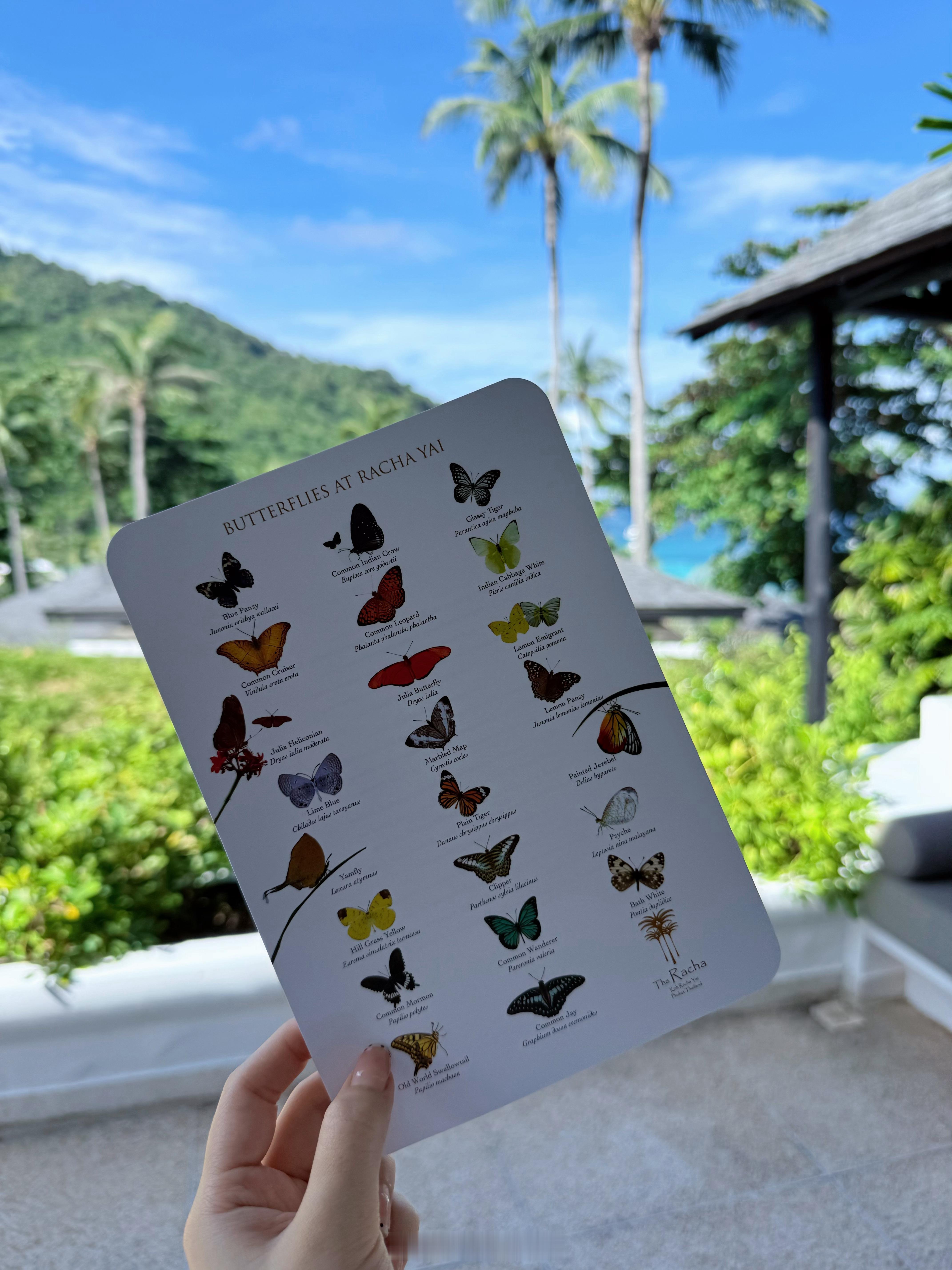 𝐼𝑠𝑙𝑎𝑛𝑑 𝑑𝑖𝑎𝑟𝑦🦋🏝️👙 