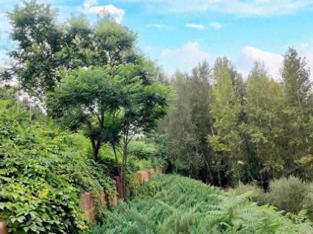 超强厄尔尼诺来袭，我们该如何应对？