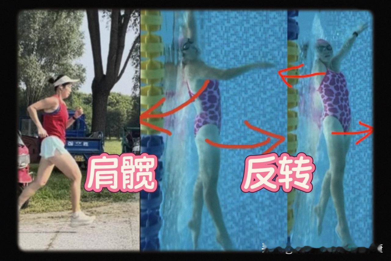肩髋反转，肩向上转的时候，同侧的髋是向下鞭腿。不要推水就把自己掀翻了，那个髋要压