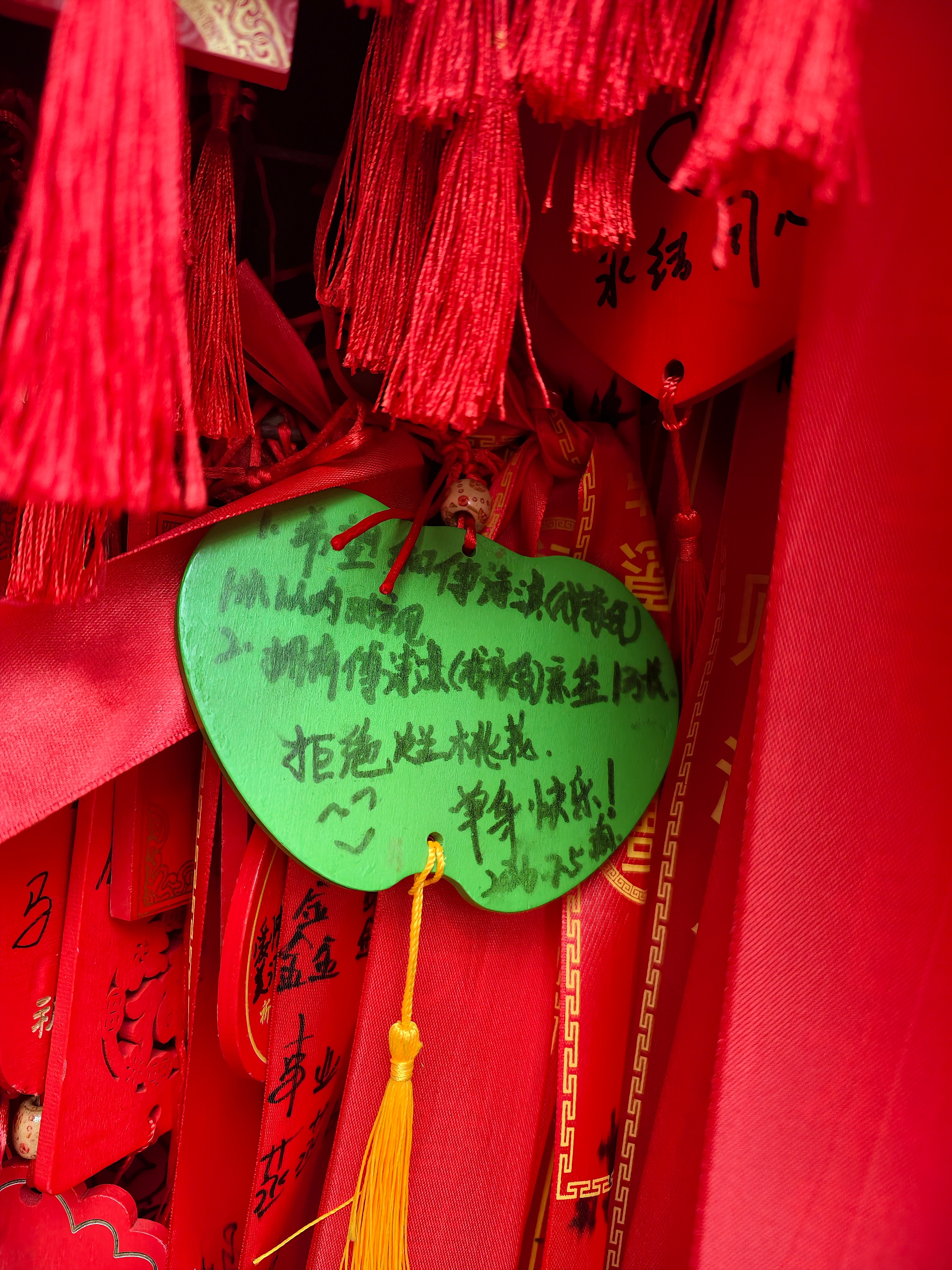 在天下第一爱情桥，我许了个愿，希望可以早点拥有傅诗淇（成毅）亲签，并且1米以内来