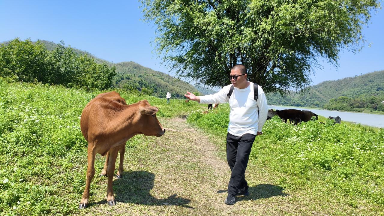 在田园风光中与牛儿亲密互动，感受大自然的美好。🌿🐄🌞