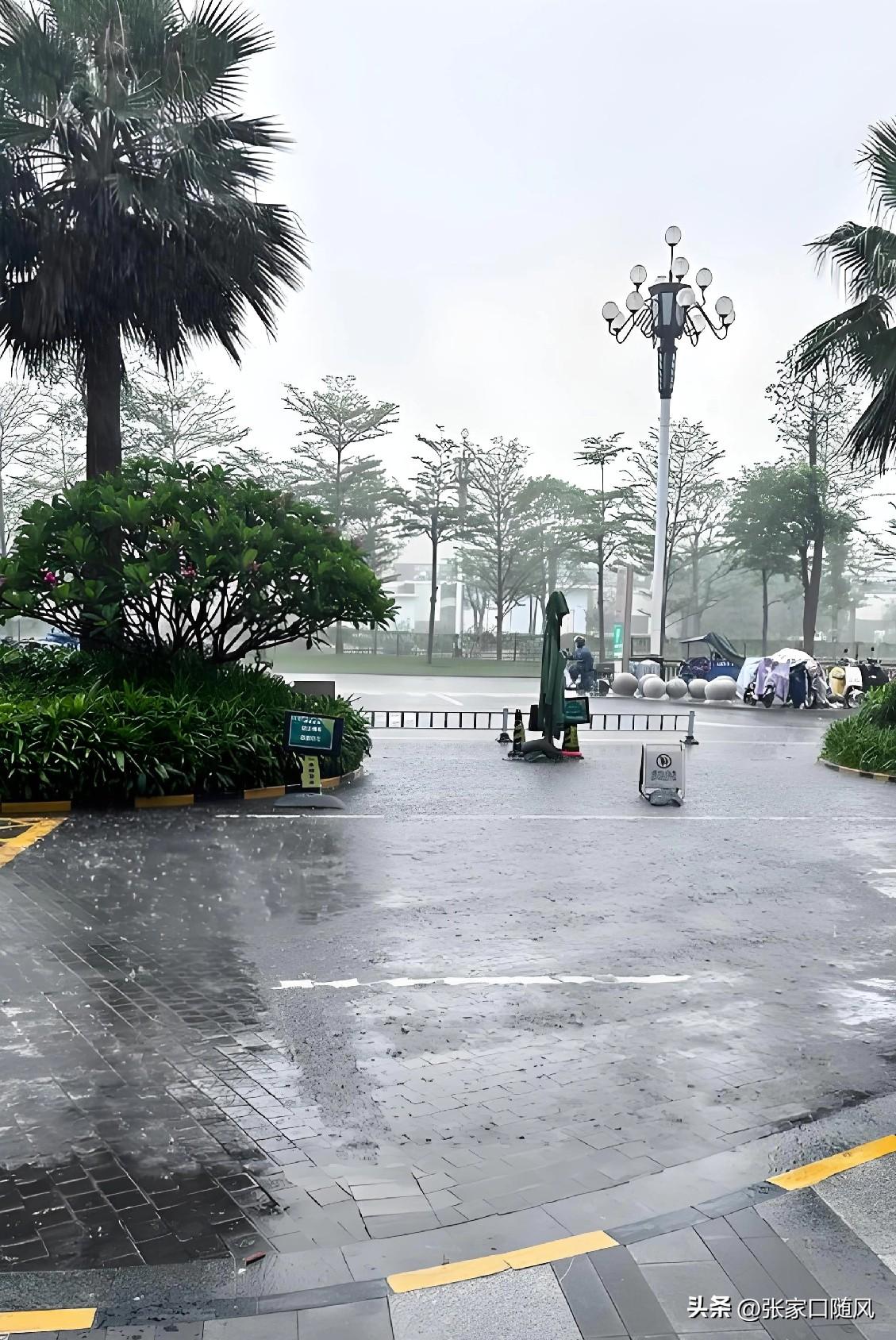 上班牛马的一天，不管风雨，到点坚持也得去啊。

想到老家土地需要雨水灌溉，每次下