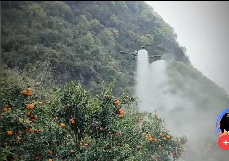 无人机，可以帮助人类办好多事，比如给农作物打药，不用人们在身体力行的背负药桶去劳