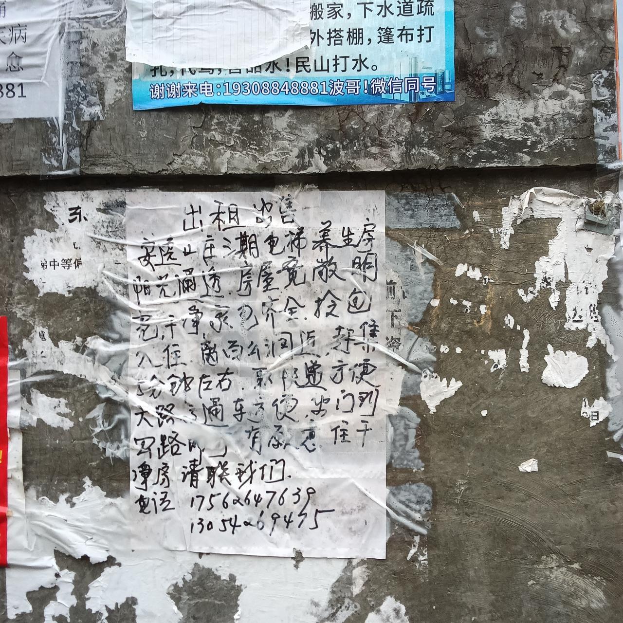 巴马长寿之乡
似乎人人做中介

来到巴马整整13天了。有一个很奇怪的感受，跟各位