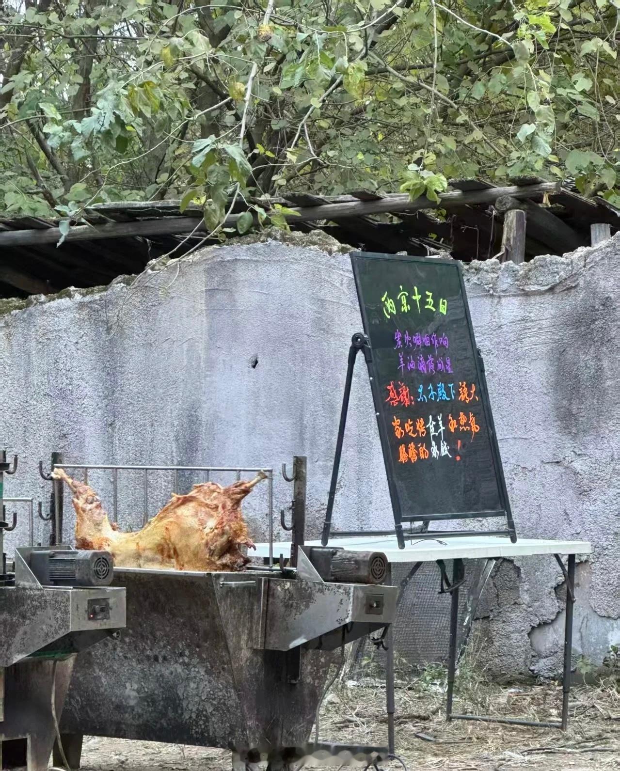 这个好成毅今天请两京十五日剧组吃烤全羊和水饺了 