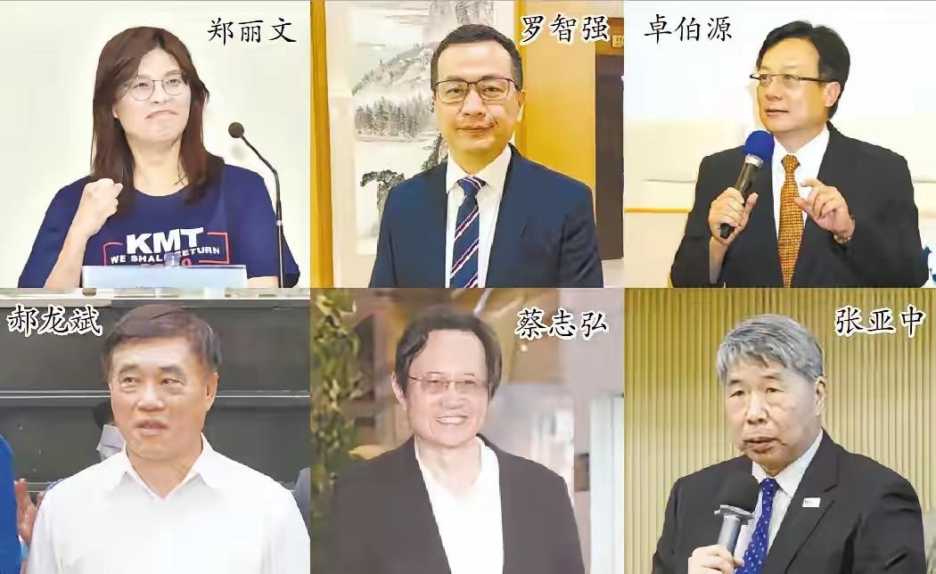 台国民党主席选举闹剧，倒象二当家的座椅之争！

实权派是民进党，有枪有弹，是台独