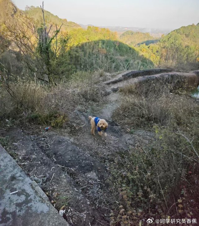 🎉生活不仅有眼前的苟且，还有山川湖海等待征服！🏔️👣带上我的小伙伴——豆豆