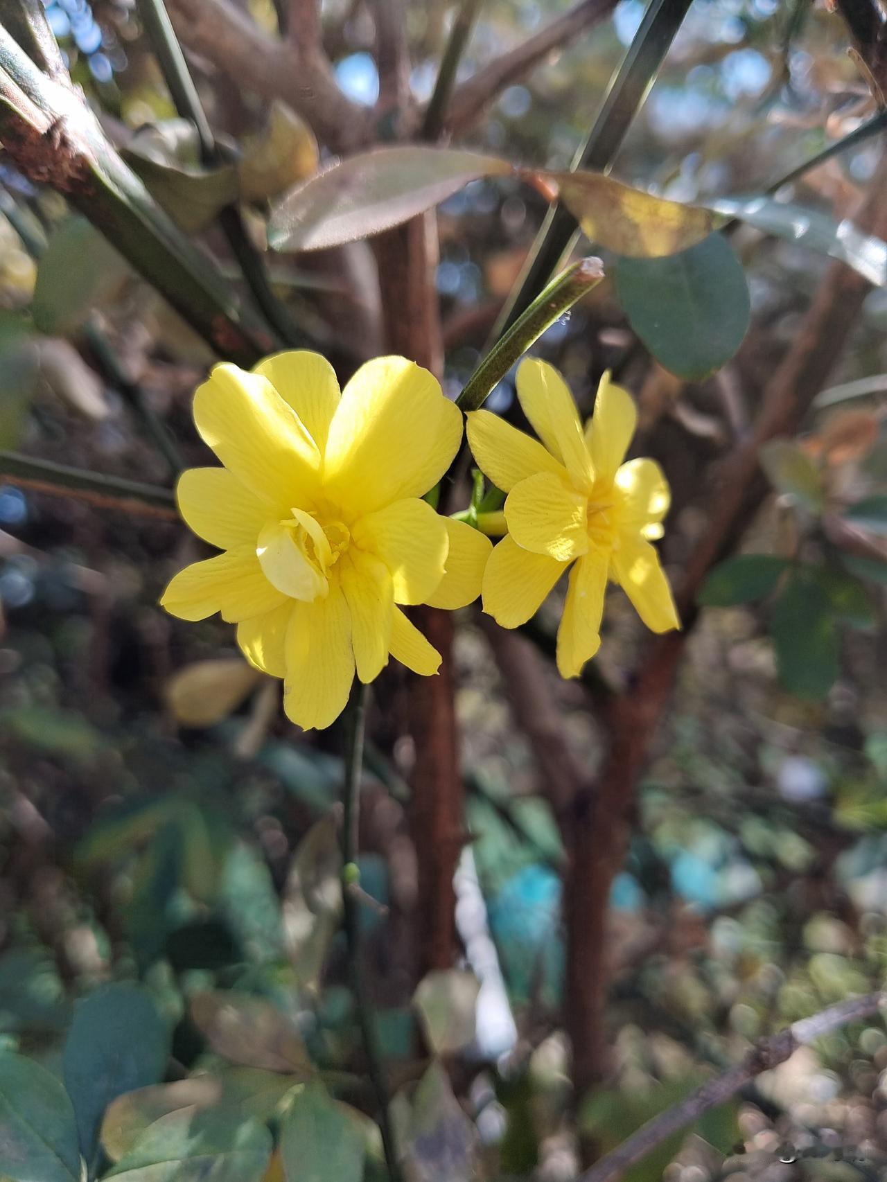 养生就是养心，滋养灵魂
一、想身体处于一种舒服服的状态，就不让坏情绪停留在身体长