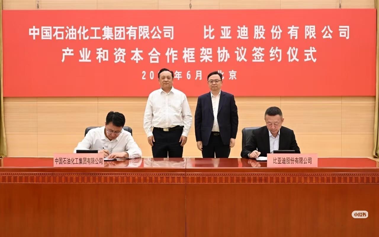 中国石化与比亚迪签署合作框架协议希望每一家中国石化加油站都🈶闪充桩，大型国企下