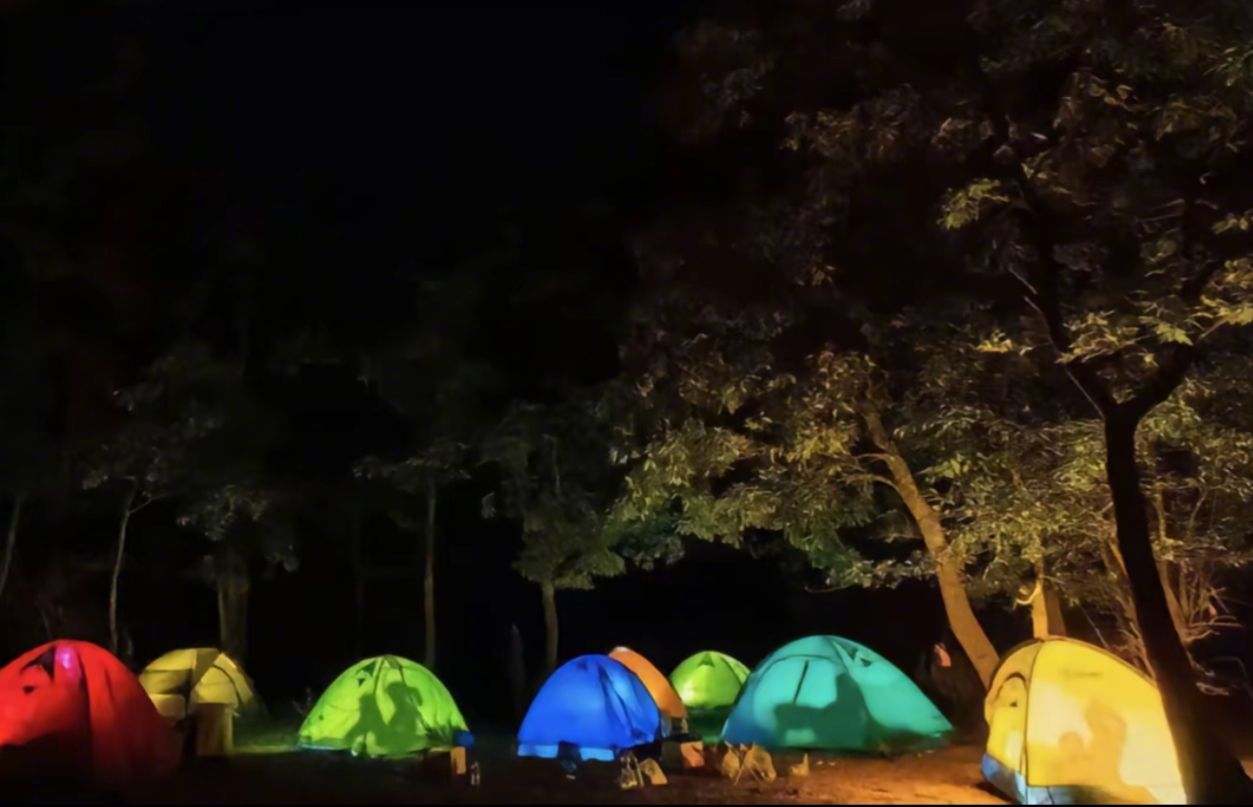 网友：这才是真的夜爬的含金量[doge] ​​​