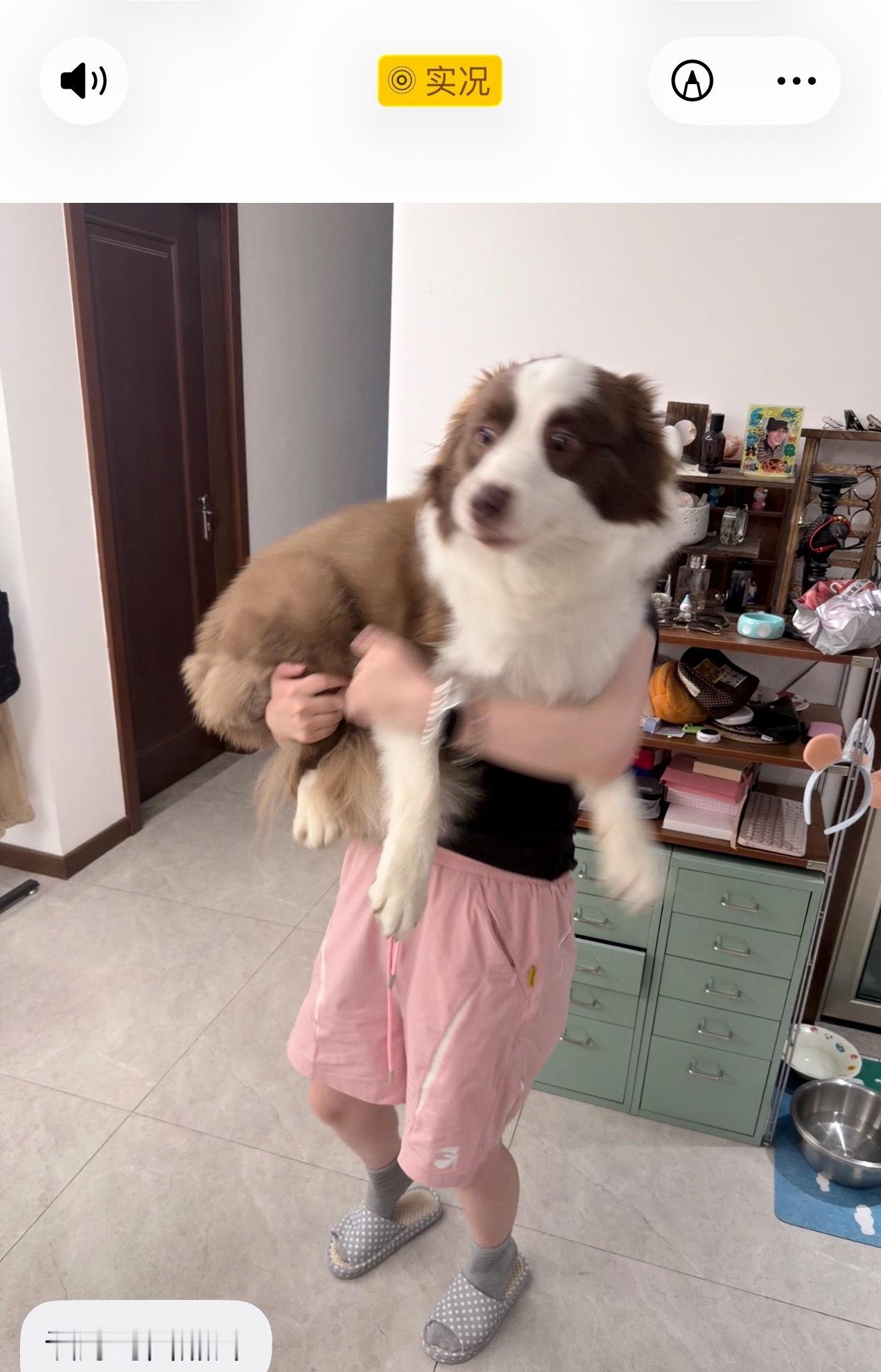 玉米加农炮！ 