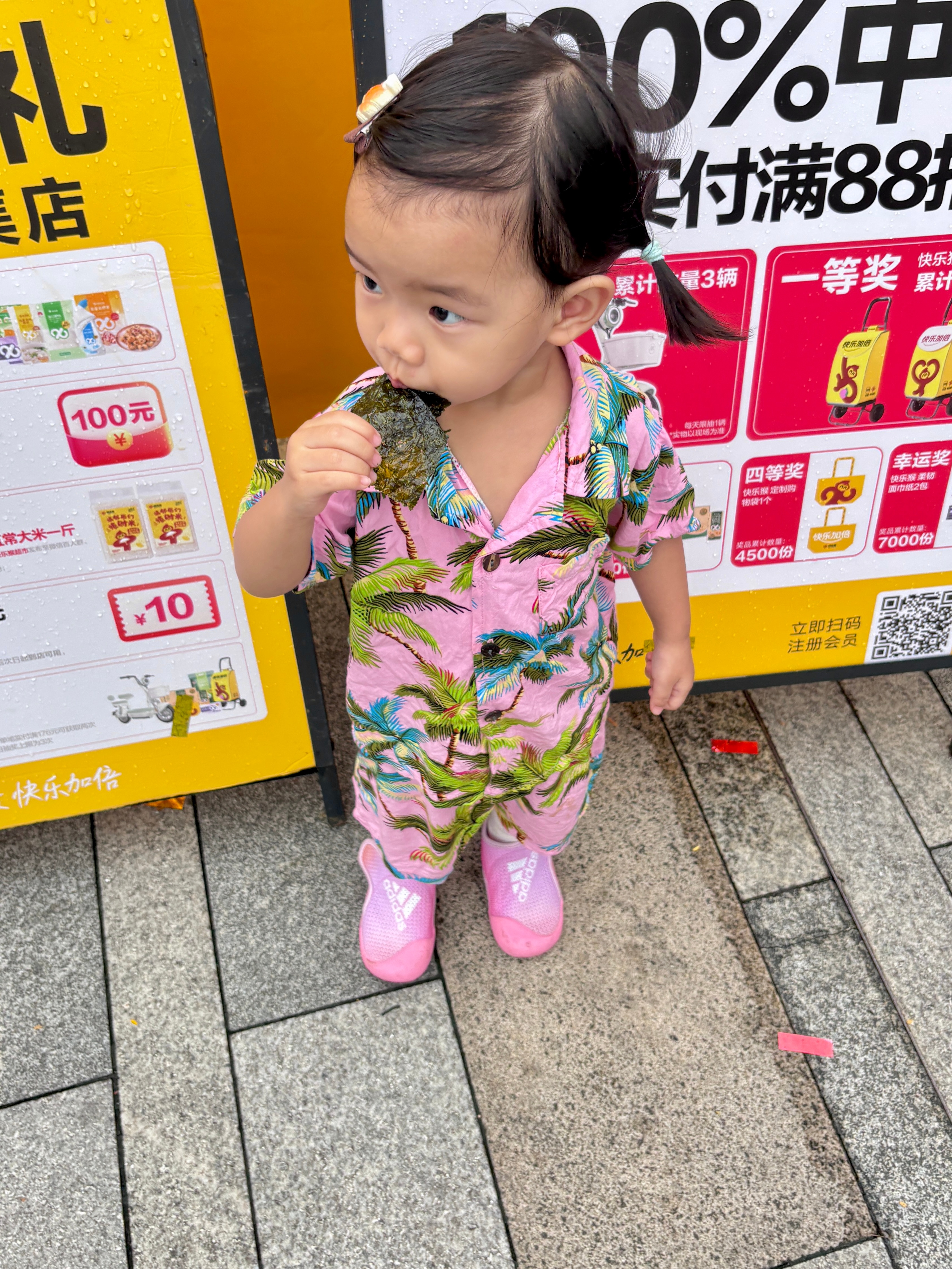 丸的呆萌生活 