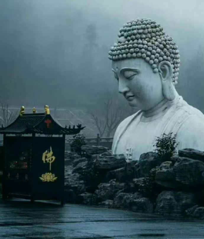 看到佛祖不要无视，最近想的都能实现 ​​​