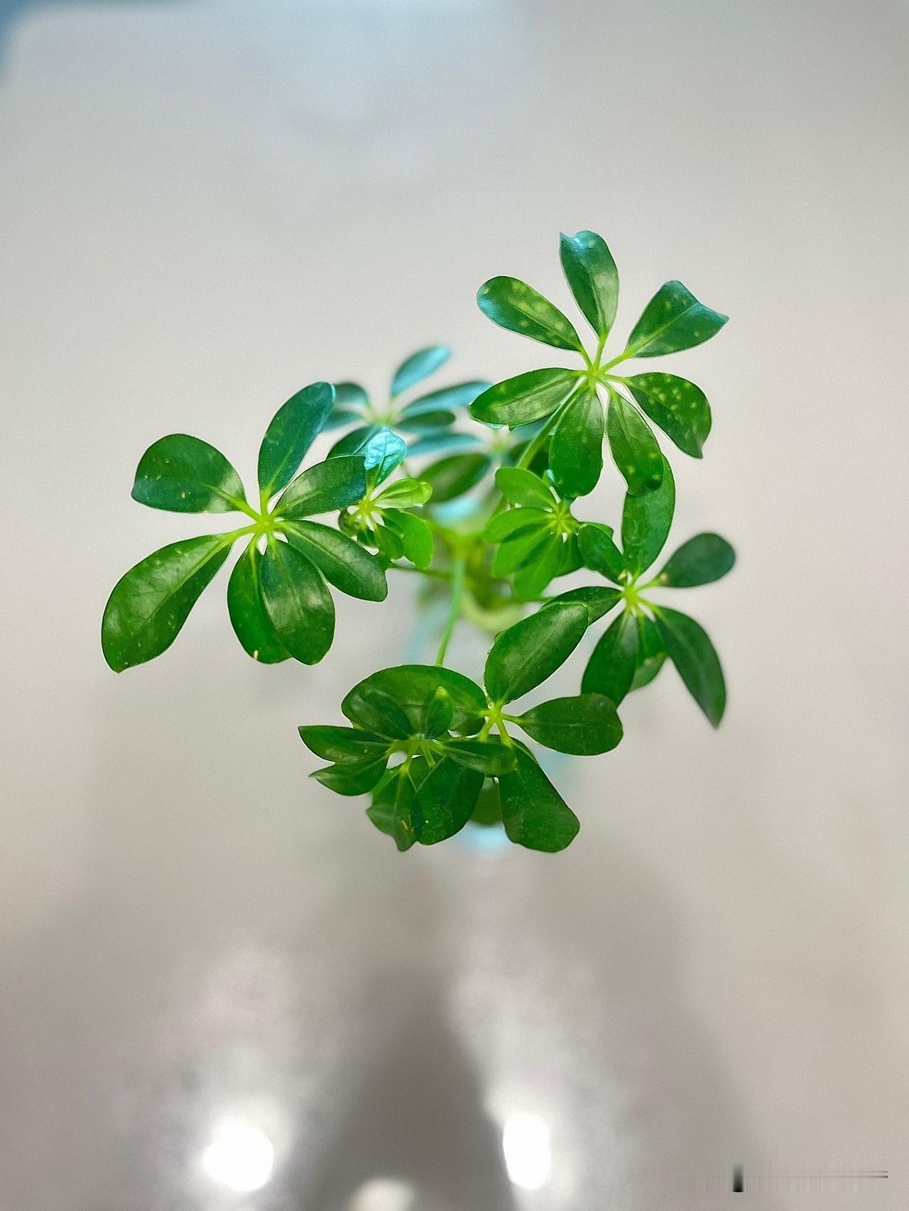 有段很令人深思的话：“要是身体抱恙了，甭管病症轻重，都别慌
神，把控好情绪，规律