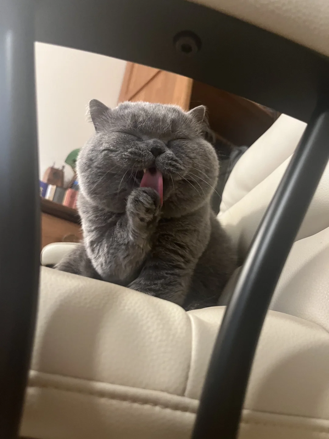 过分可爱了啊……啊啊啊