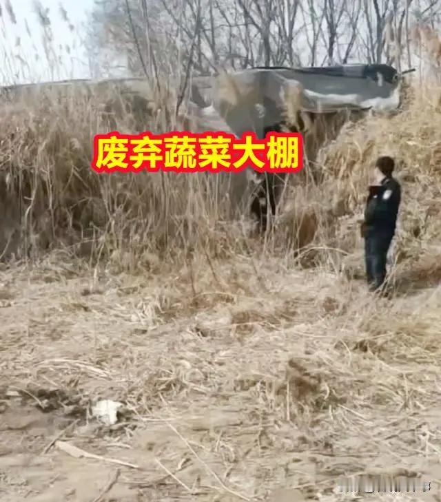 邯郸被害少年事情再迎新进展！律师发声：“现场冻土层还在，而且从空间大小来看的话，