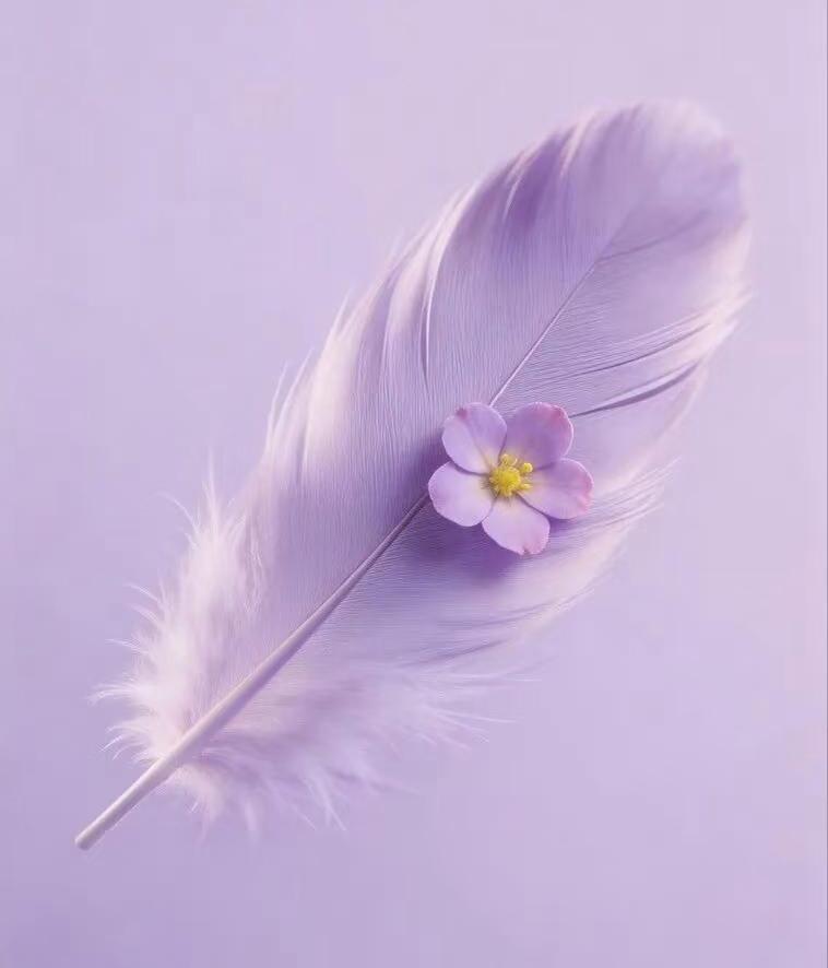 怎么能分辨人的真假？
其实很好分辨。
对你真的人，
从来不给你任何压力，
他们既