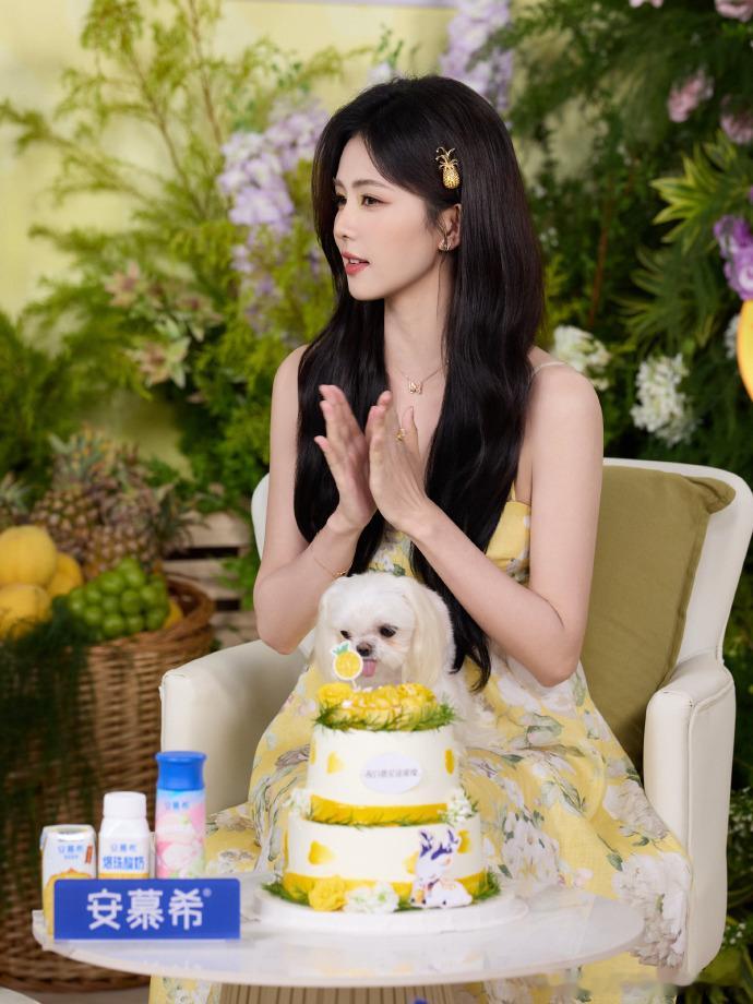 白鹿手绘角色蛋糕白鹿出道9年25个角色 白鹿生日，工作室和于正放大招，角色蛋糕手