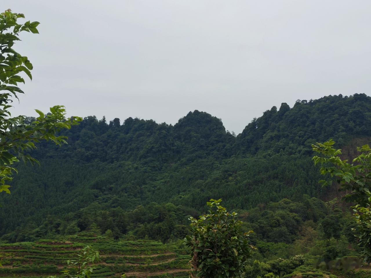 同一座大山，却能看见两种完全不一样的风景！
 
今天去到了天宫山，站在观景处望向
