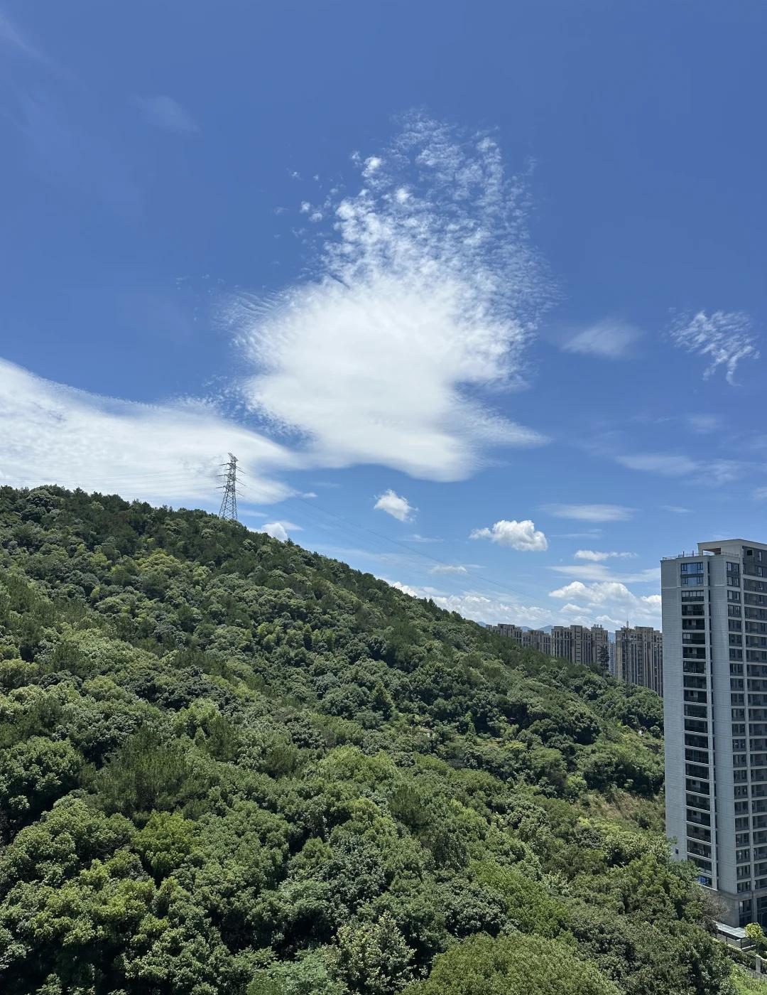 要出梅了吗 杭州今天天气也太好了吧
我看见两朵一样的云 好天气就是最好的滤镜 今