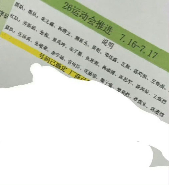 TF家族今年的运动会的分组TF家族26年运动会分组TF家族今年的运动会的分组出来