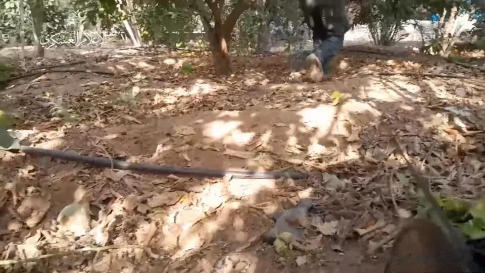 加沙武装的大杀器。一名加沙武装战士和战友，从地道爬了出来，钻进油橄榄林，手里拎了