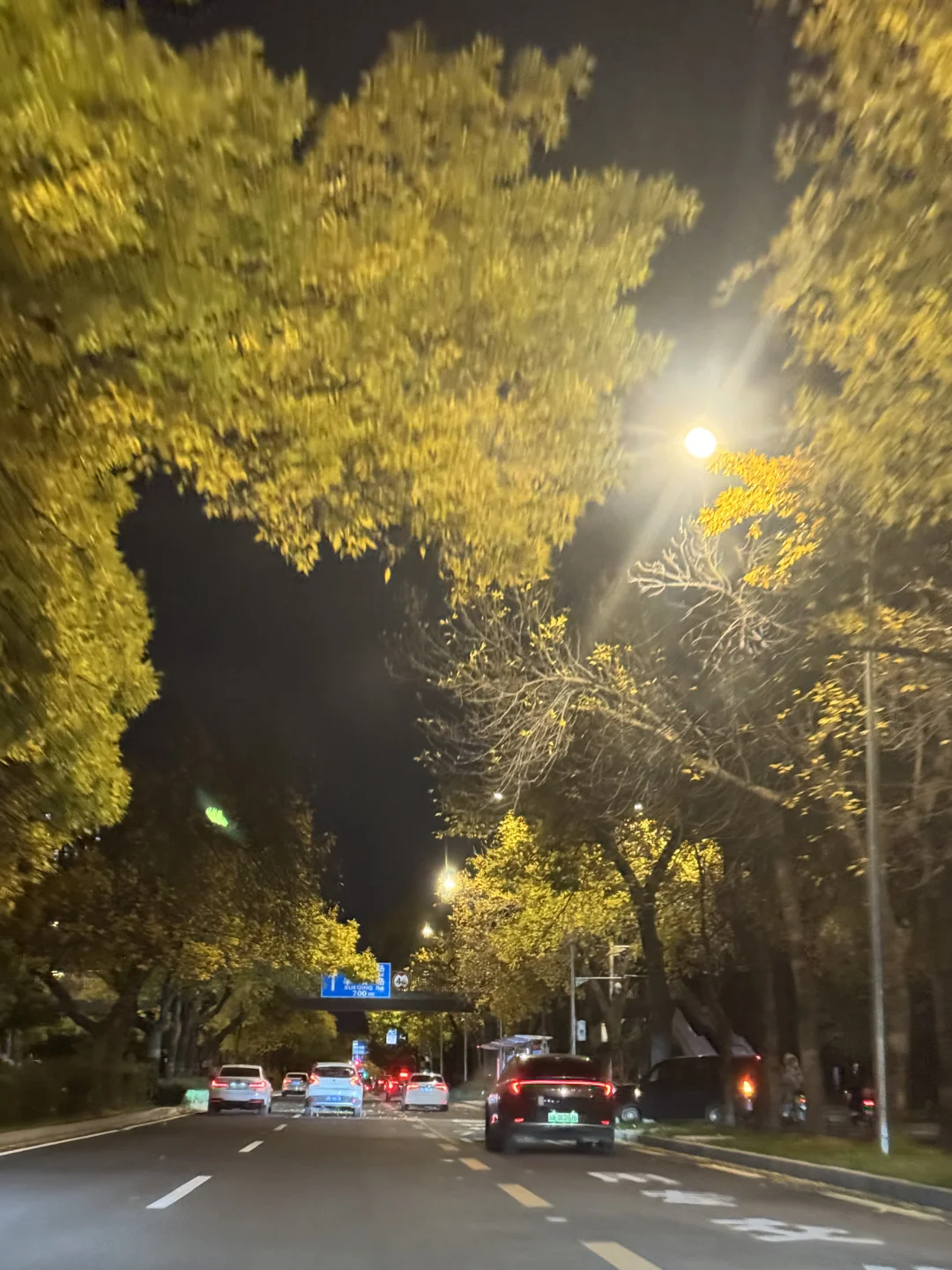 晚上拍北京秋色，还是差点意思
