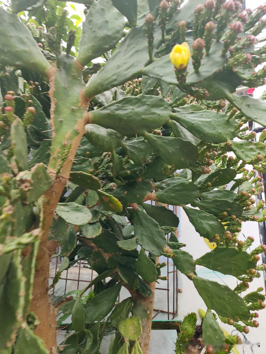 生活习惯对身体气味的影响可太大了。就说不良卫生习惯，不常洗澡、不勤换衣服，汗水和