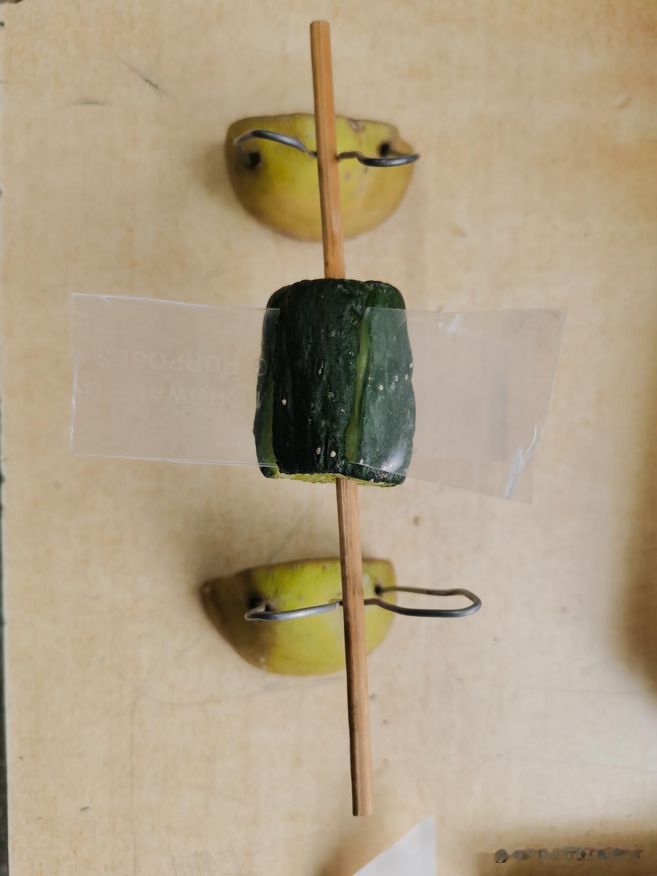 你知道这是几年级的科学小制作吗