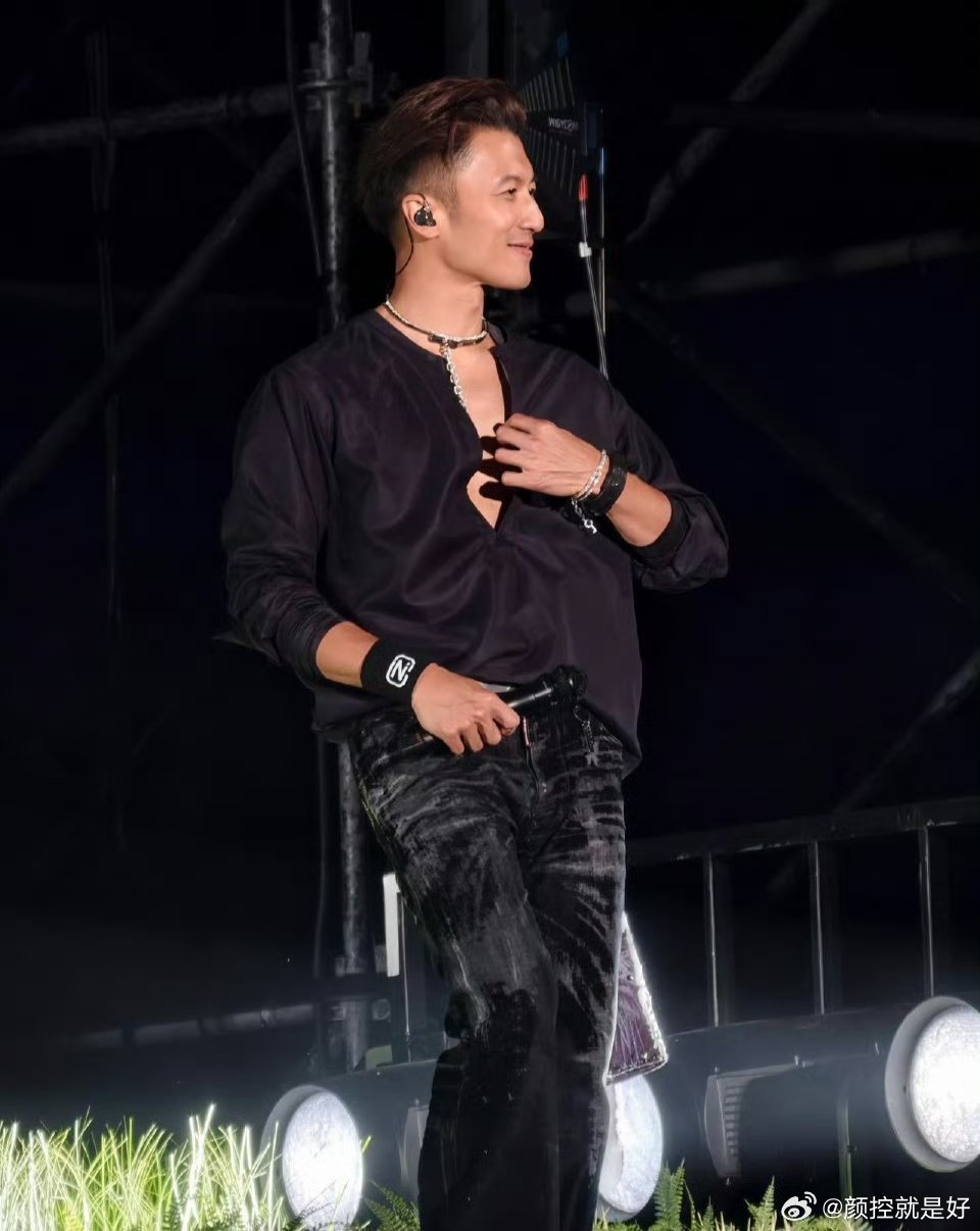 谢霆锋九亿大哥的梦谢霆锋也算是初代男流量了吧。比起现在很多男星都是女粉比较多，很