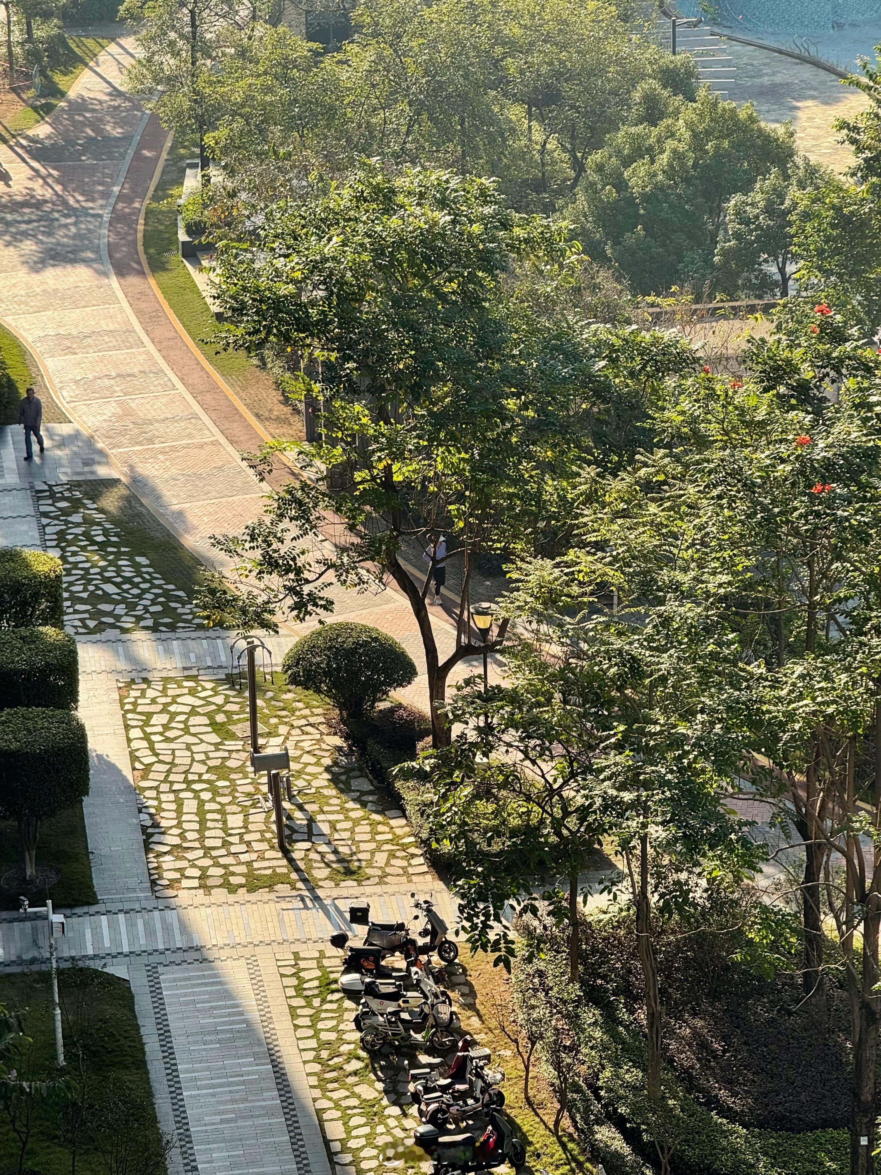 周一，早安~  
