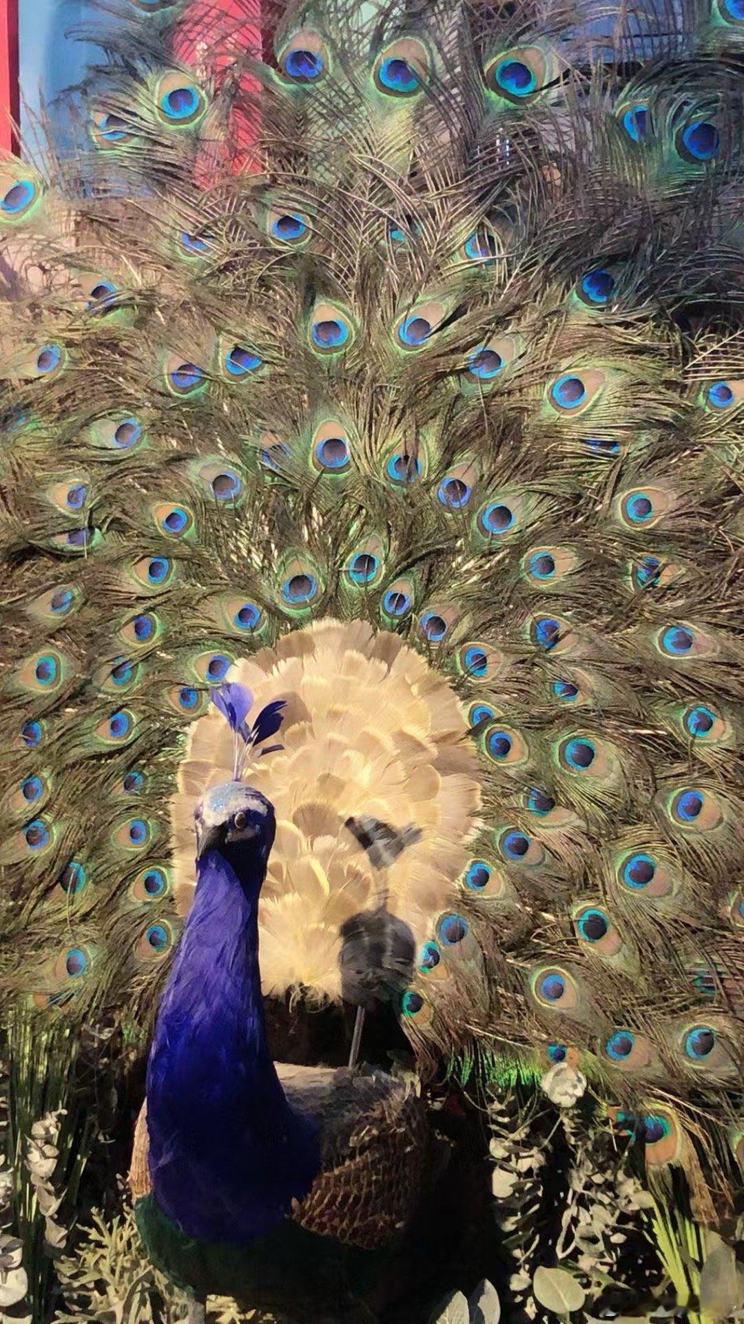 抓大放小；不是抓小放大。 