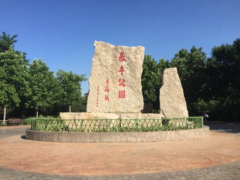 今年春日，我最渴望达成的心愿便是前往天津滨海新区泰丰公园观赏流苏。听闻那里的流苏