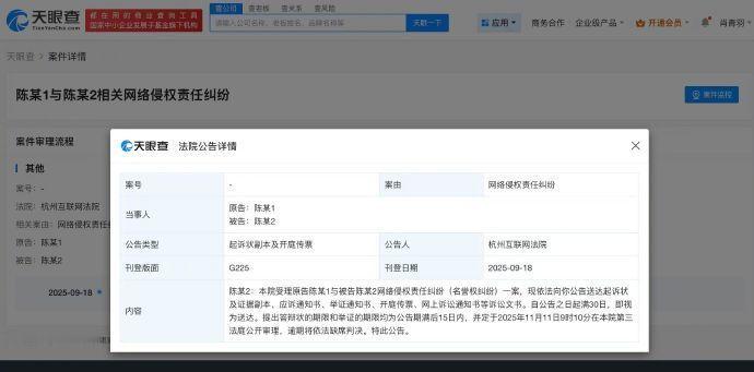 陈丽君网络维权案明天开庭，被告何某某已被强制执行3.04万元，并被采取限制消费措
