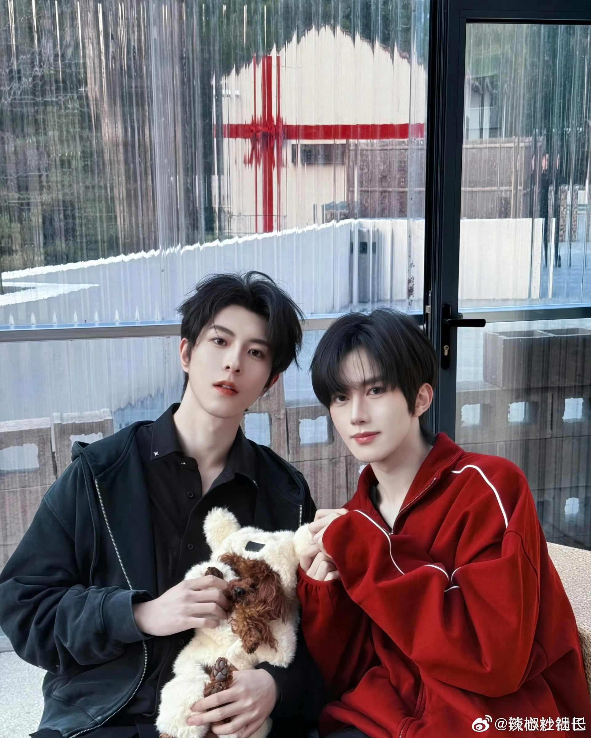 黄星邱鼎杰直播 元宵夜的双倍心动！星邱第一枝玫瑰，甜度拉满，默契封神💜白西装封