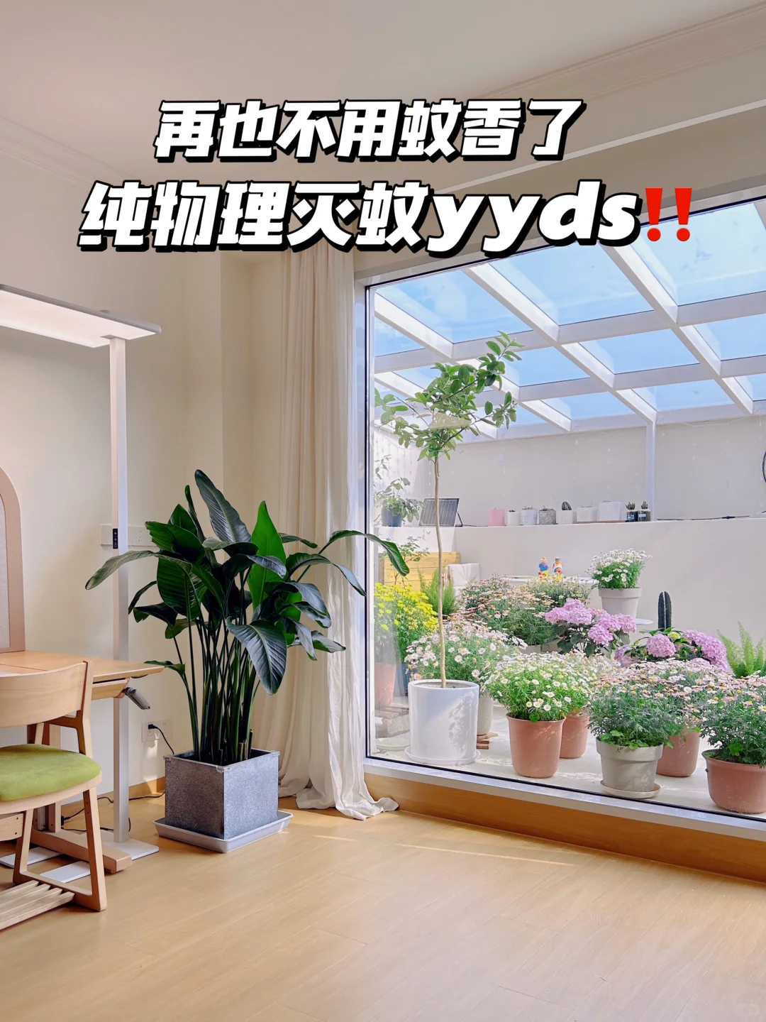 🔥招蚊体质注意啦！这样物理防蚊亲测有效！