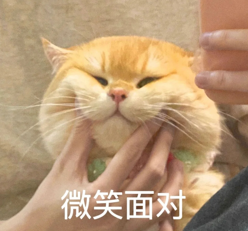 咱就是说，赵晓卉简直就是“世另我”啊！平时嘴上都喊着“摆烂”，实则“卷王”附体，