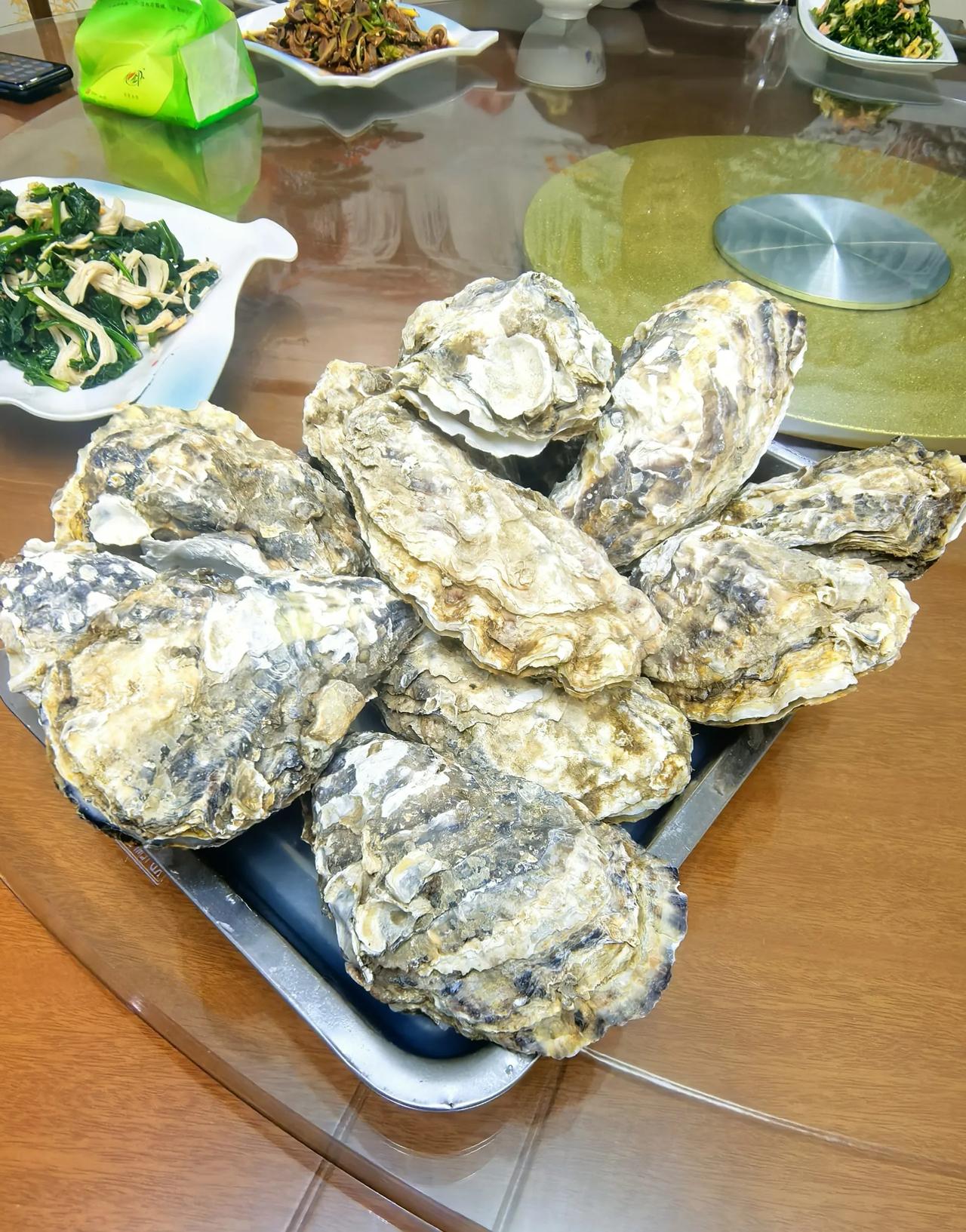 这个特大生蚝，一个有半斤多，我这样的人吃一个就基本吃饱了。

这才是生蚝，和一般