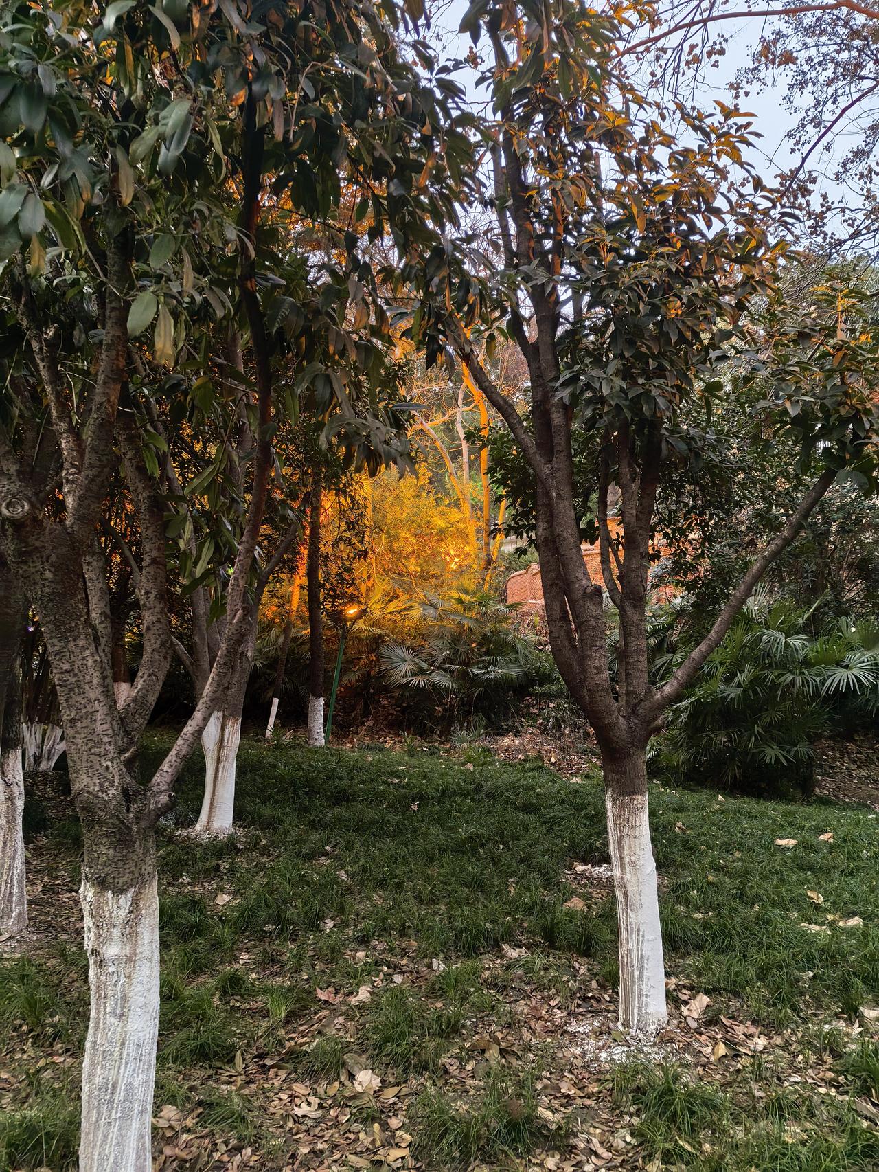 刚刚一个女业主在群里说跟她把车牌换一下，一个星期后再换过来，经理让她来物业办公室