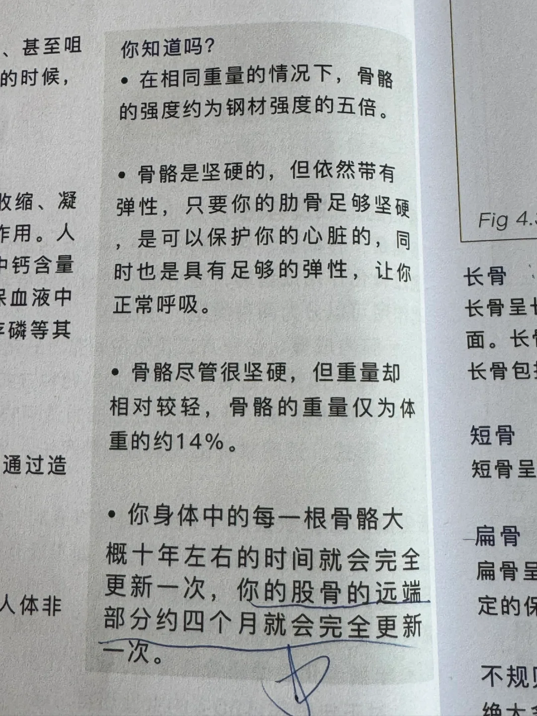 骨骼是人体的框架，决定人体的基本形状