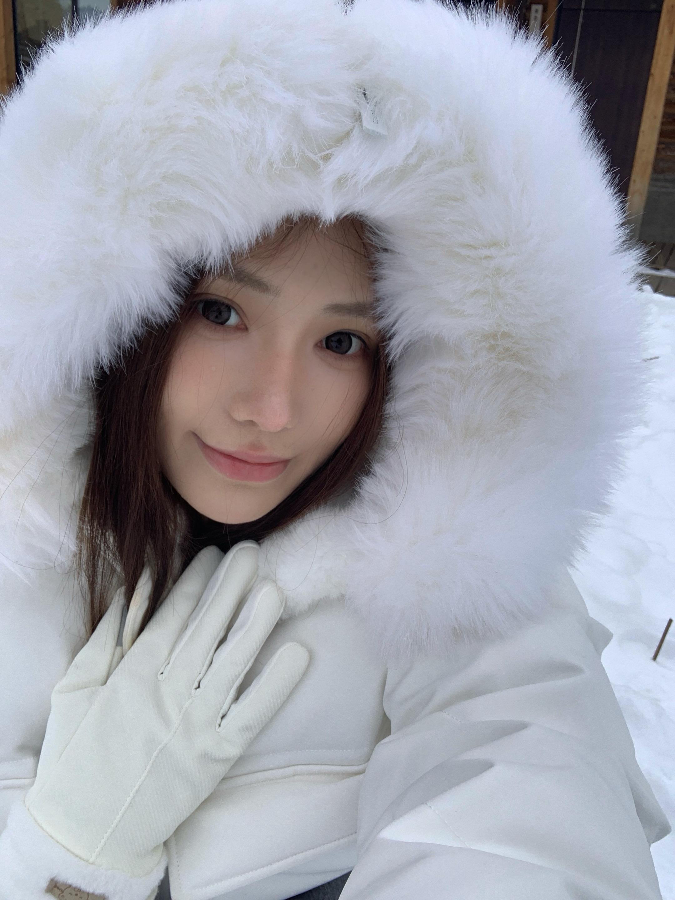 为什么禾木的🐱都很小