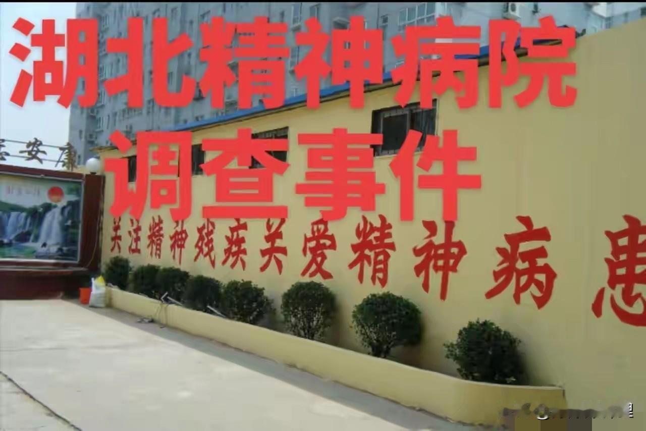 这事儿真让人头皮发麻，居然连爱尔眼科都卷进来了！

那个陈邦，明明是做眼科生意的