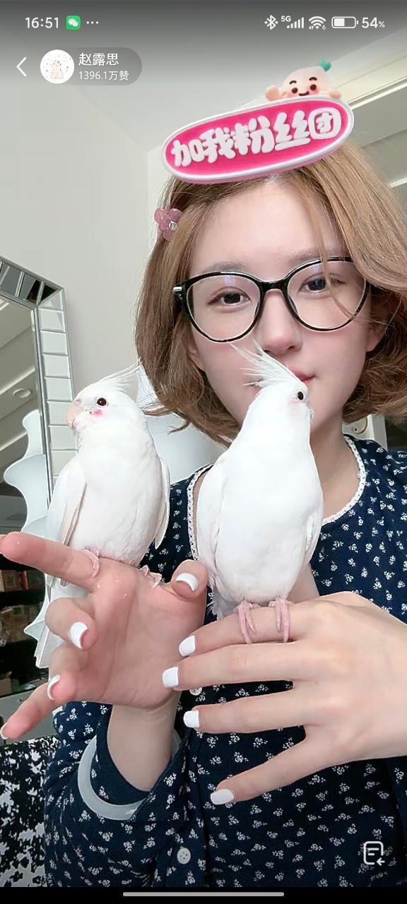 娱乐[超话]赵露思的鸟按麻将取名赵露思的鹦鹉名赵露思的鹦鹉名，巧七对，龙七对 ​