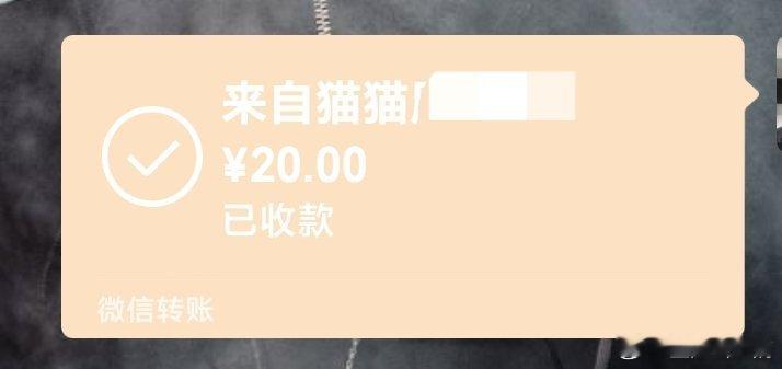 我不允许任何人欺负我的女孩