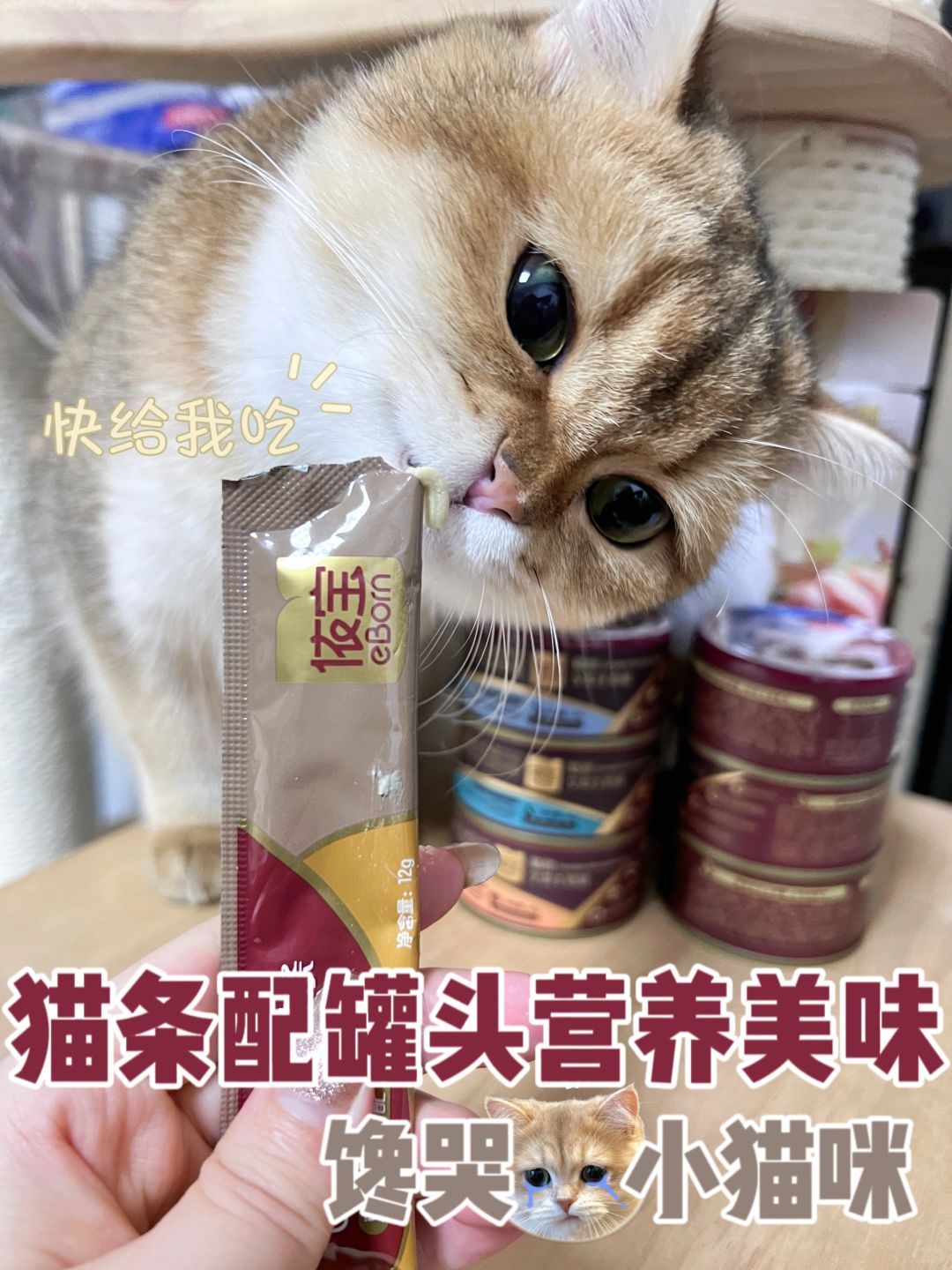 猫条配罐头营养又美味😺哪个小喵不迷糊