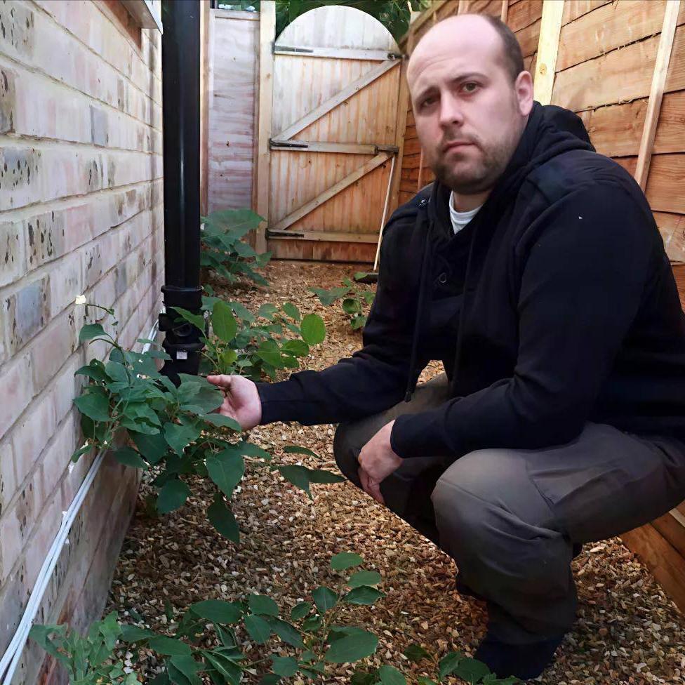 在英国，有一种名叫“虎杖”的植物，它是园艺界的梦魇、建筑商的噩耗、公众的焦虑源。