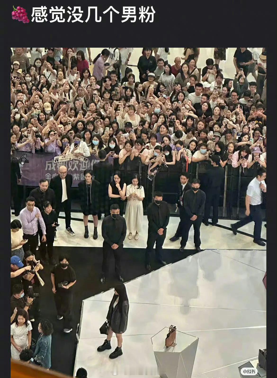 郫县热议：杨紫的男粉好少 ​​​